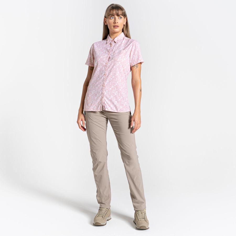 Women's Craghoppers NosiLife Tillia Short Sleeved Shirts Pink | YFW2996QS