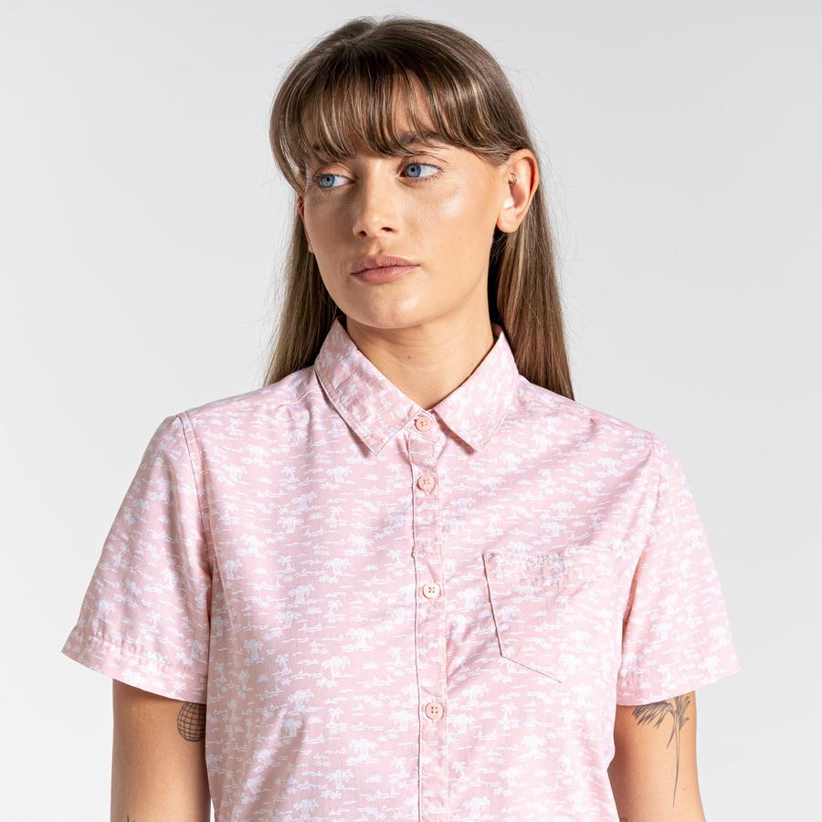 Women's Craghoppers NosiLife Tillia Short Sleeved Shirts Pink | YFW2996QS