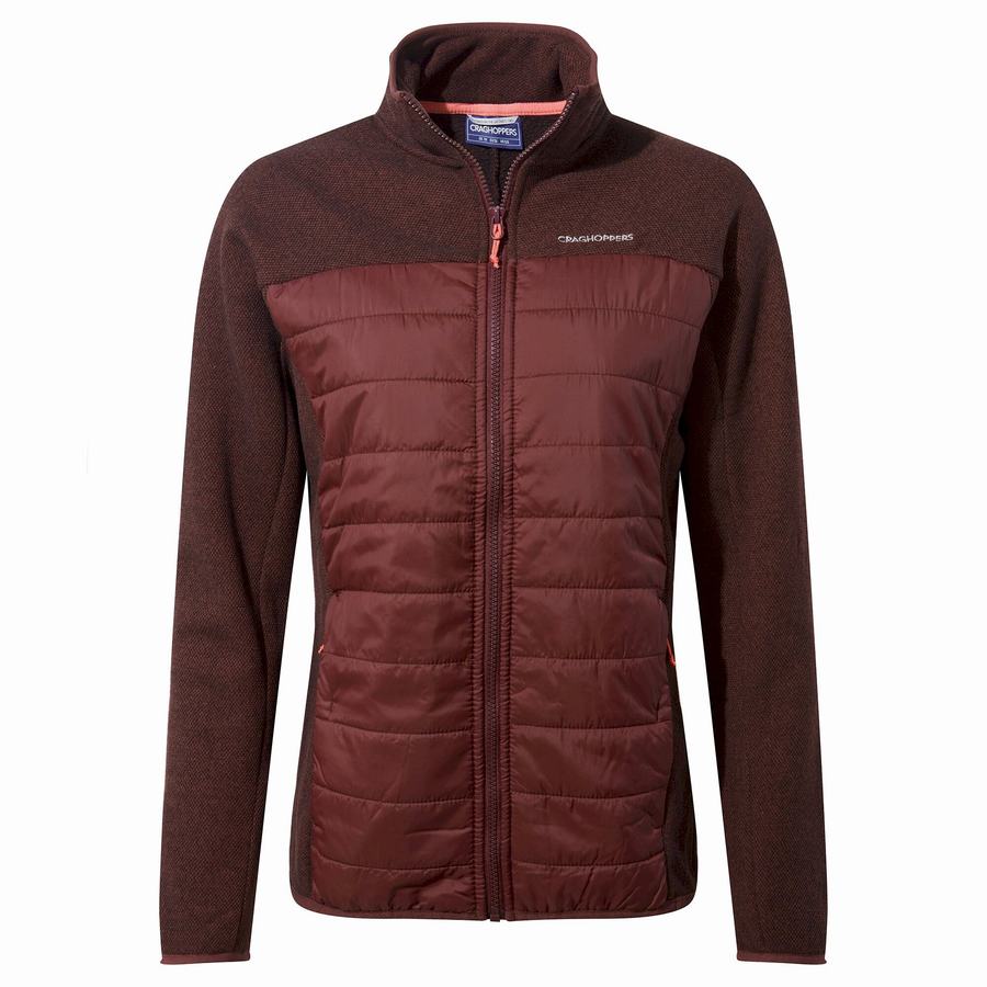 Women's Craghoppers Shanice Hybrid Jackets Dark Red | ORW9253IR